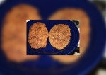 tomato cutlets recipe