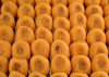 Malai Peda
